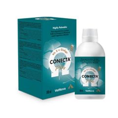 Conecta Plus