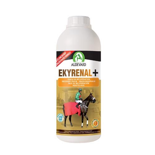 Chevaux Ekyrenal Plus (Expédition 3 - 5 jours)