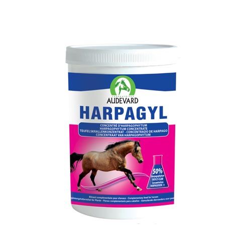 Chevaux Harpagyl (Expédition 3 - 5 jours)